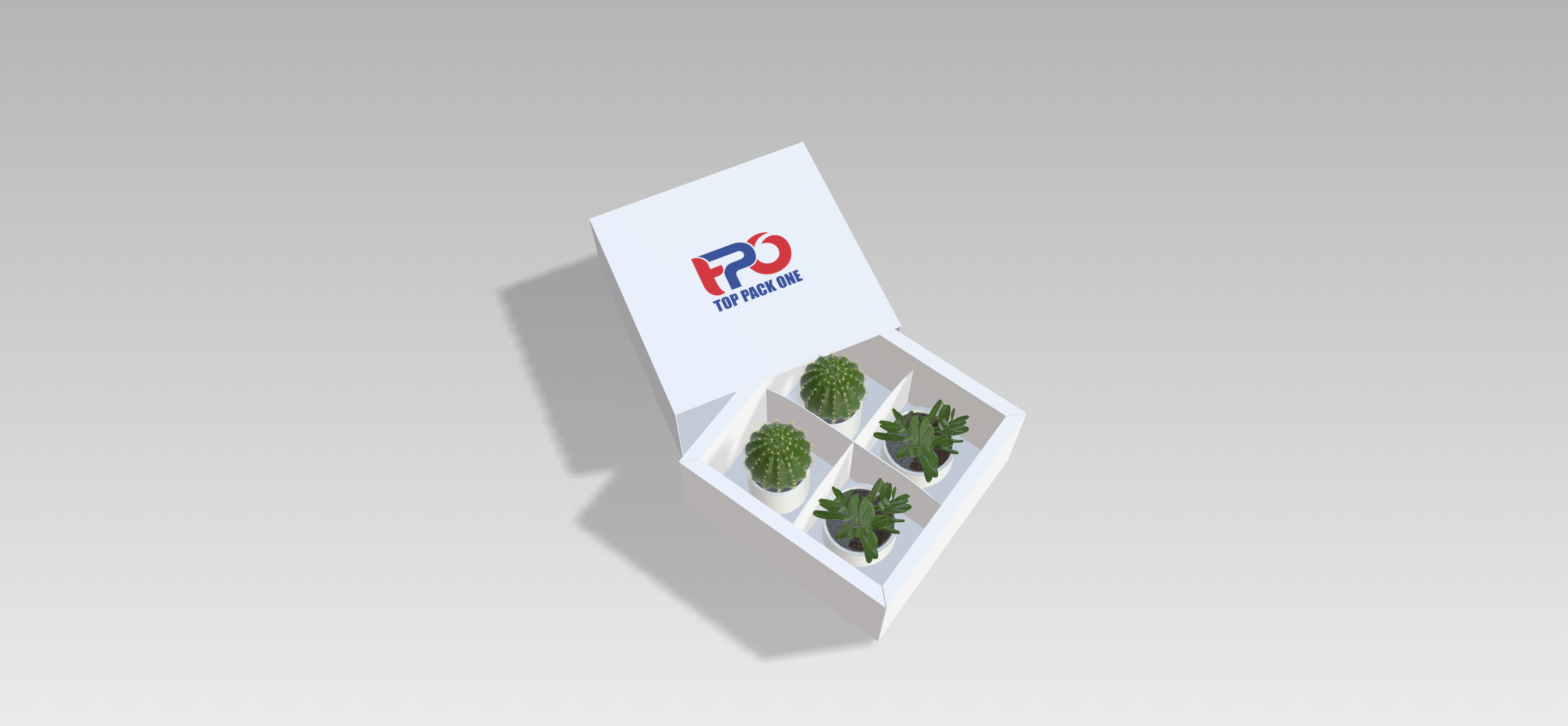 Inserts 03